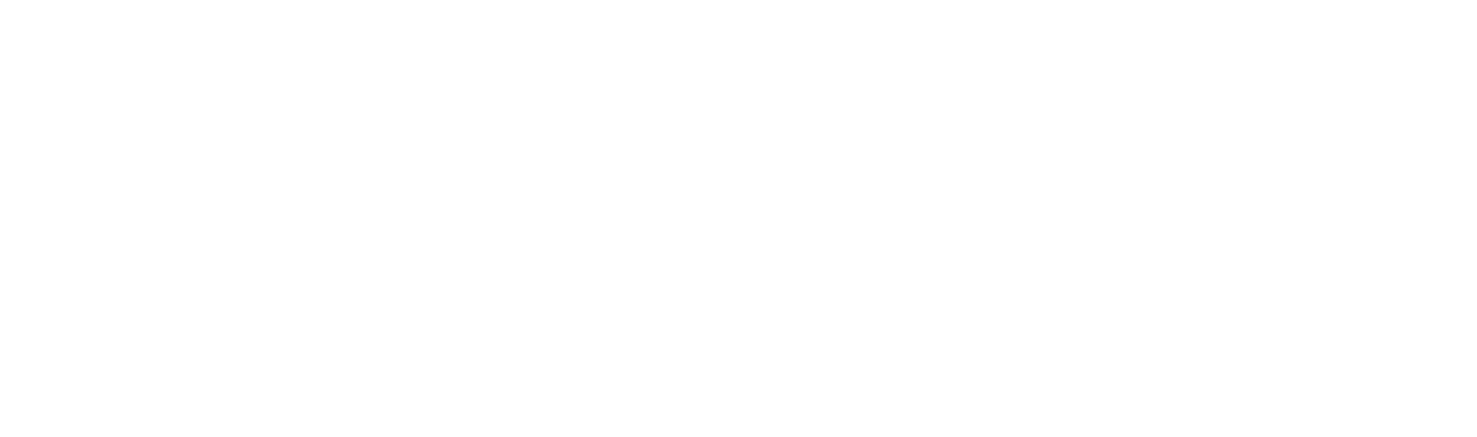 BLEDN Logo White